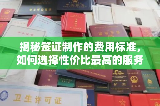 青铜峡揭秘签证制作的费用标准，如何选择性价比最高的服务？