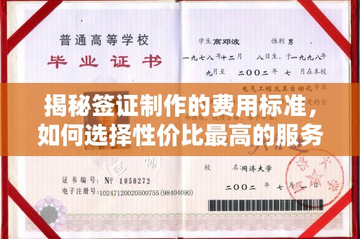 青铜峡揭秘签证制作的费用标准，如何选择性价比最高的服务？