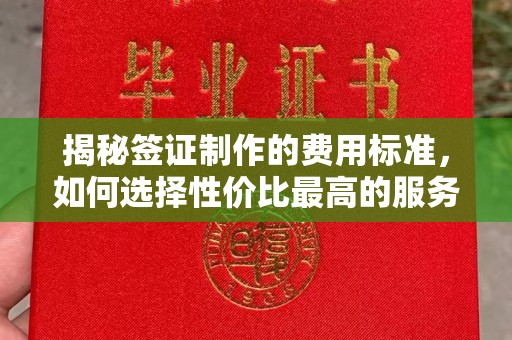 青铜峡揭秘签证制作的费用标准，如何选择性价比最高的服务？